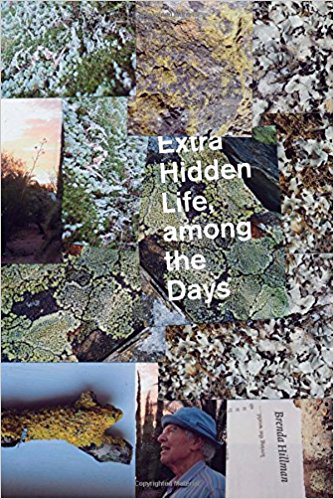 Extra Hidden Life, among the Days (Wesleyan University Press, February 2018)