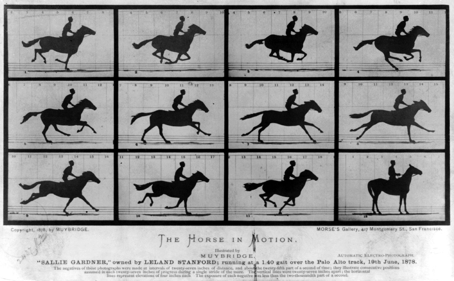 Eadweard Muybridge, The Horse in Motion