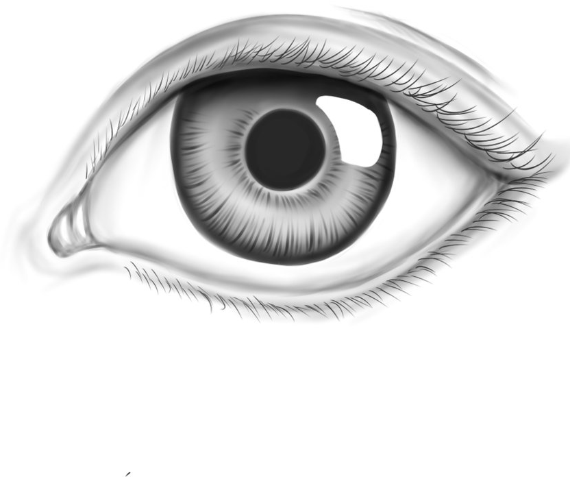 eye